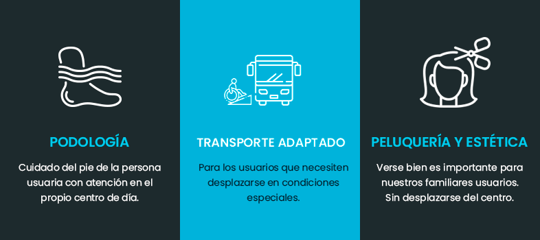 otros servicios centros de dia